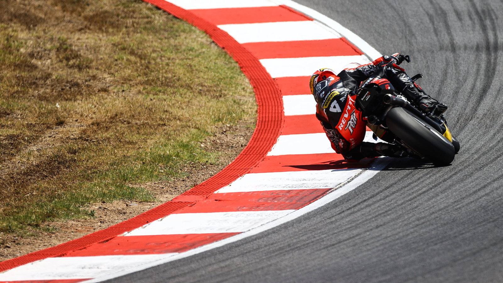 Danilo Petrucci, 2024 Portuguese WorldSBK. - Gold and Goose.