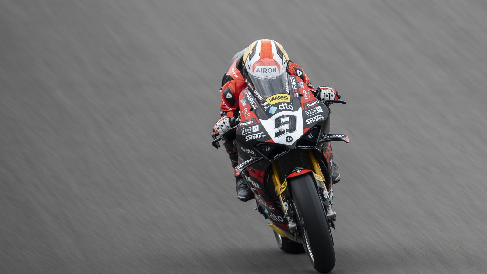 Danilo Petrucci, 2024 Italian WorldSBK. - Gold and Goose.