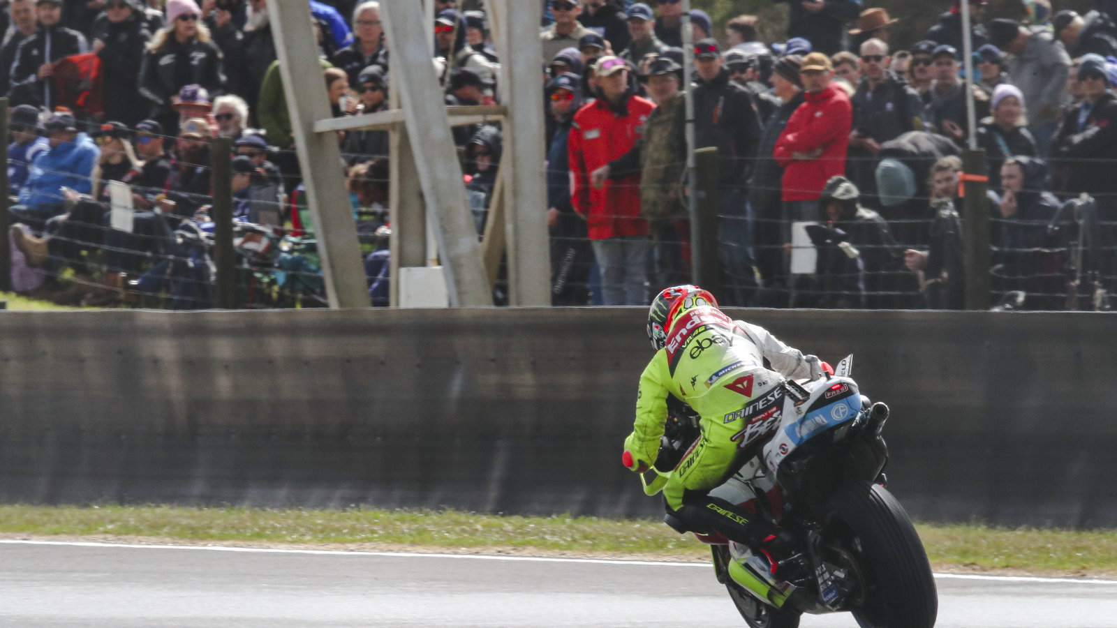 Marco Bezzecchi, VR46 Ducati, 2024 Australia MotoGP