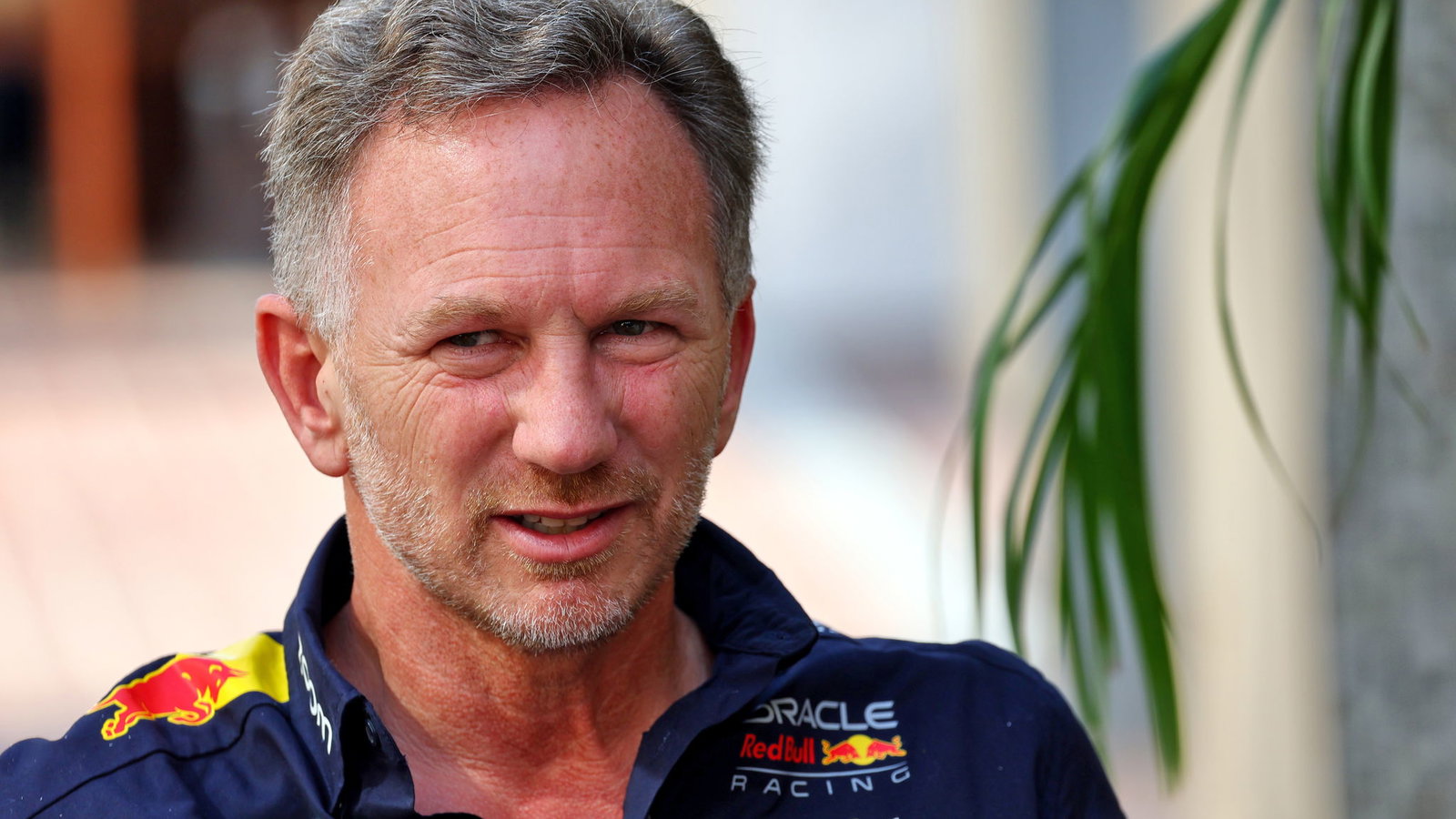 Red Bull team principal Christian Horner 