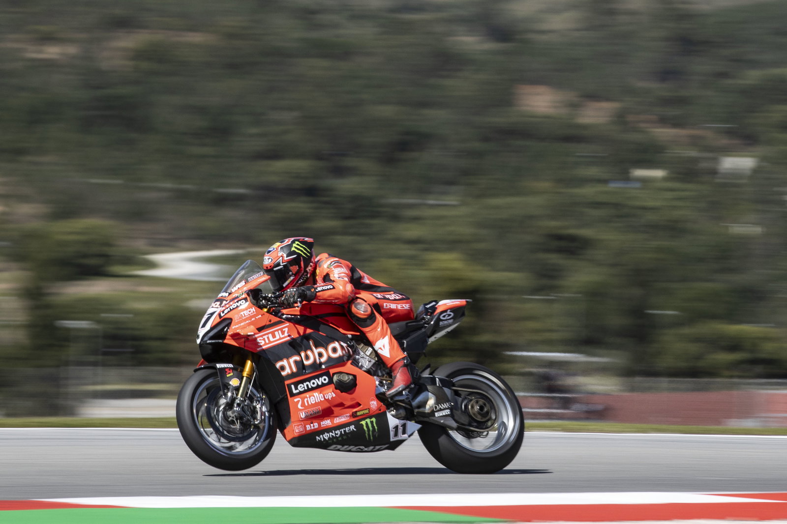 Nicolo Bulega, 2025 Portuguese WorldSBK. Credit: Gold and Goose.