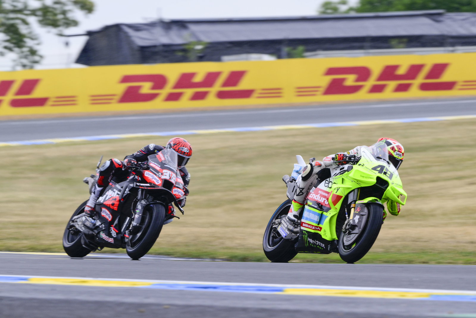 Fabio Di Giannantonio, VR46 Ducati, 2025 French MotoGP