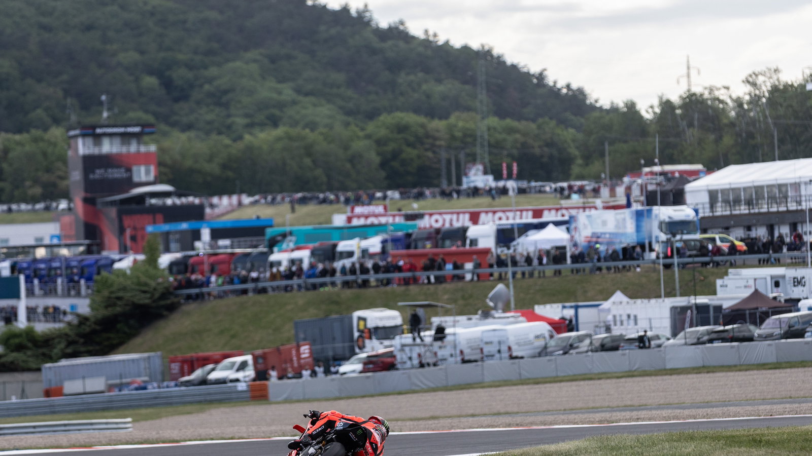 Nicolo Bulega, 2025 Czech WorldSBK. Credit: Gold and Goose.