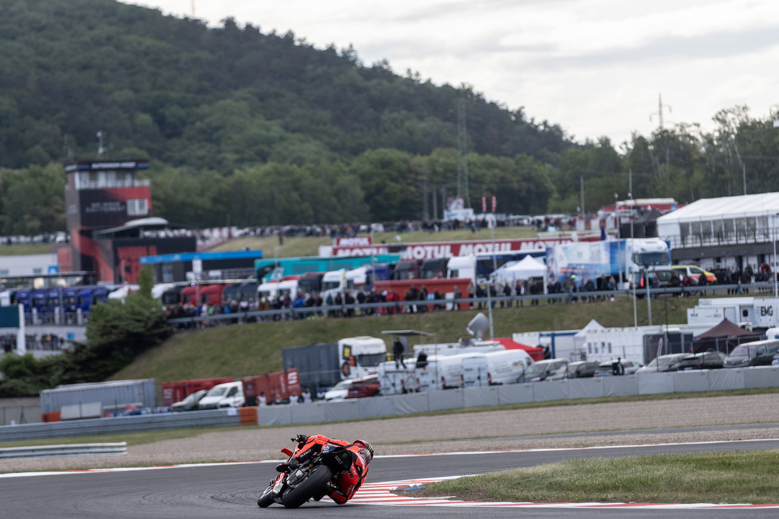 Nicolo Bulega, 2025 Czech WorldSBK. Credit: Gold and Goose.