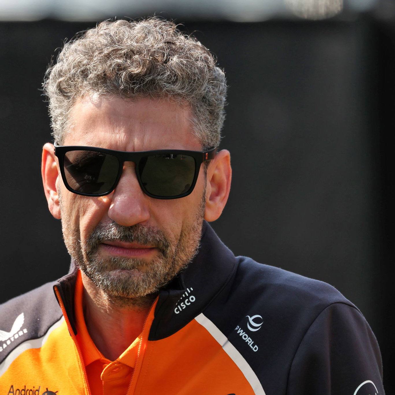 McLaren's Andrea Stella