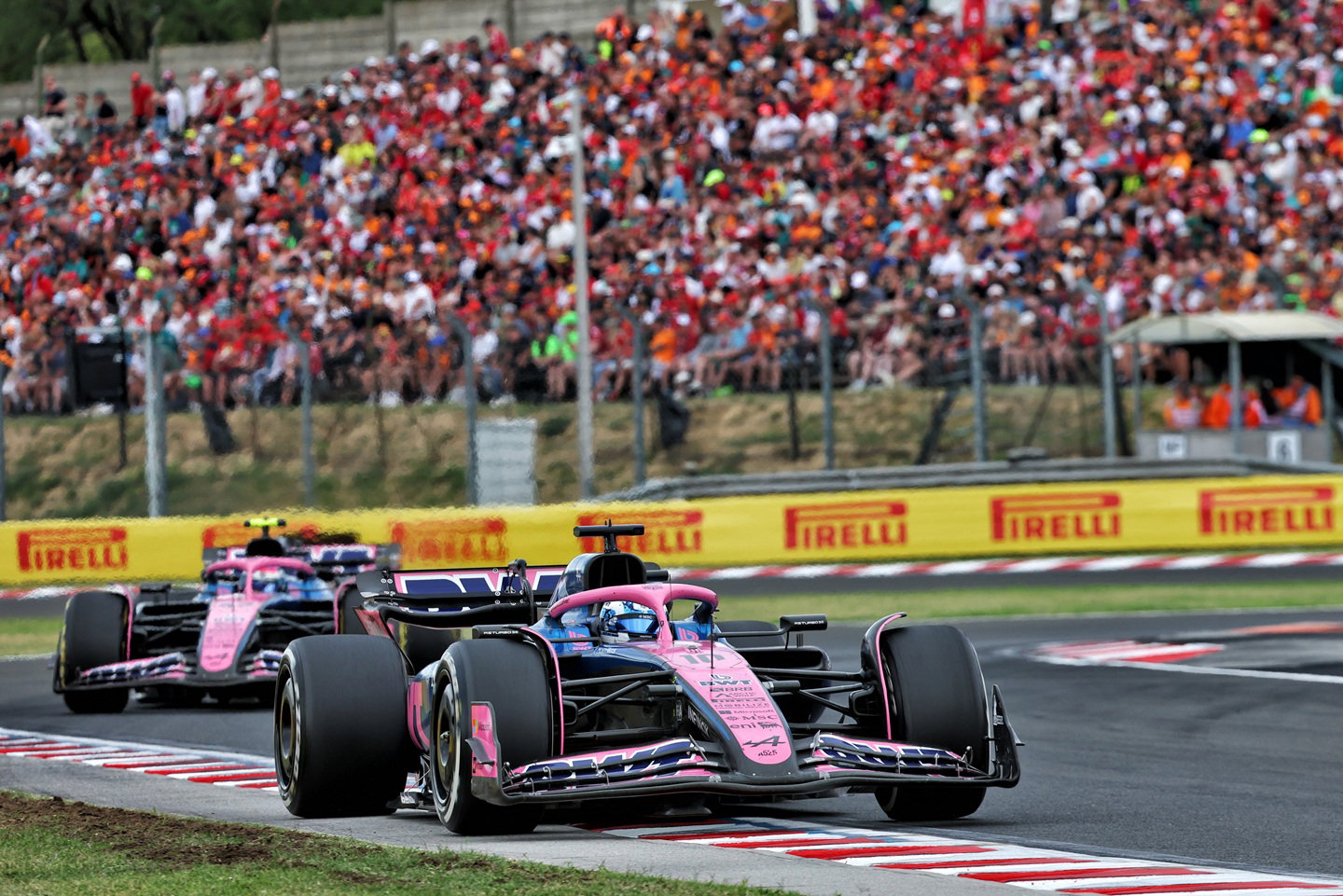Pierre Gasly and Franco Colapinto