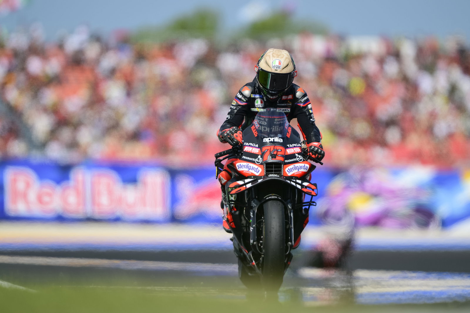 Marco Bezzecchi, 2025 MotoGP San Marino Grand Prix, Sprint grid. Credit: Gold and Goose.