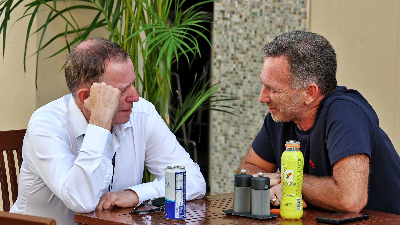 Martin Brundle and Christian Horner 