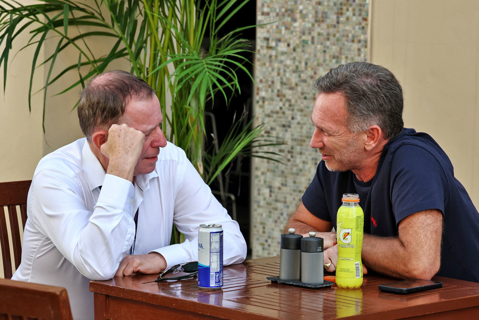 Martin Brundle and Christian Horner 