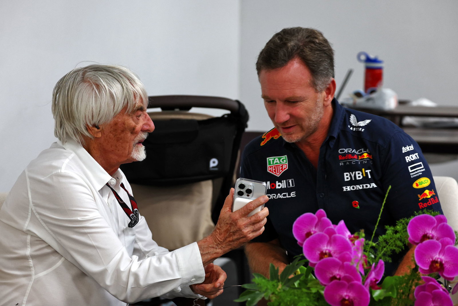 Bernie Ecclestone and Christian Horner 