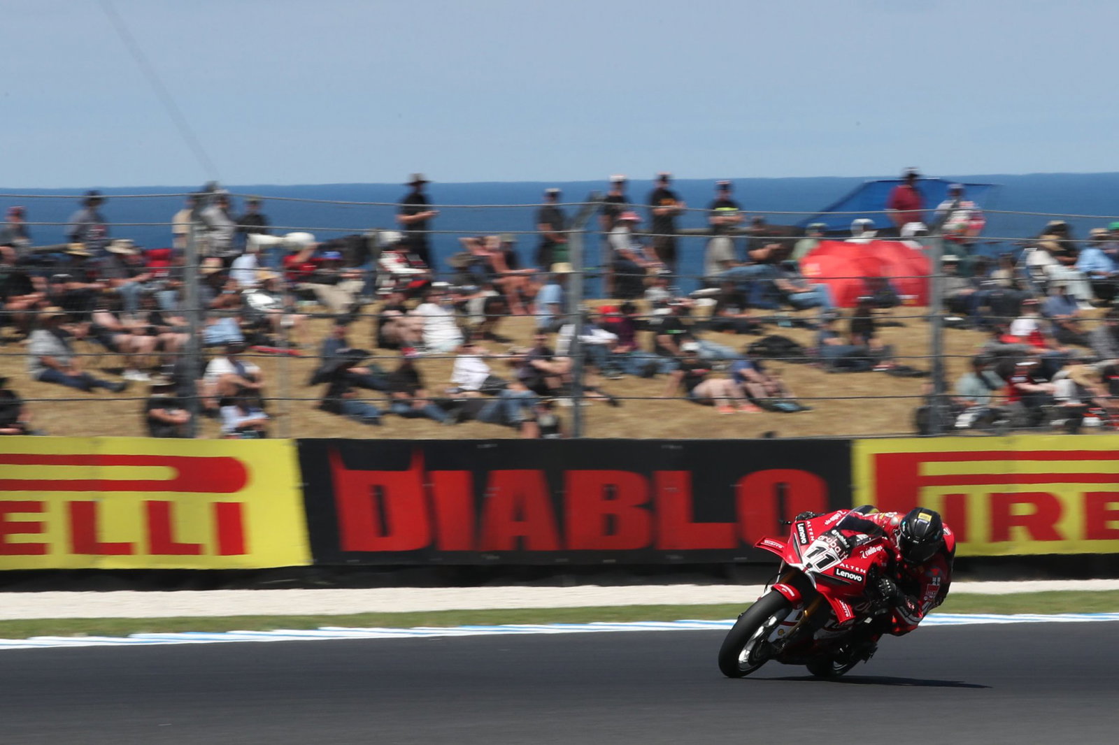 Nicolo Bulega, 2026 Australian WorldSBK. Credit: Gold and Goose.