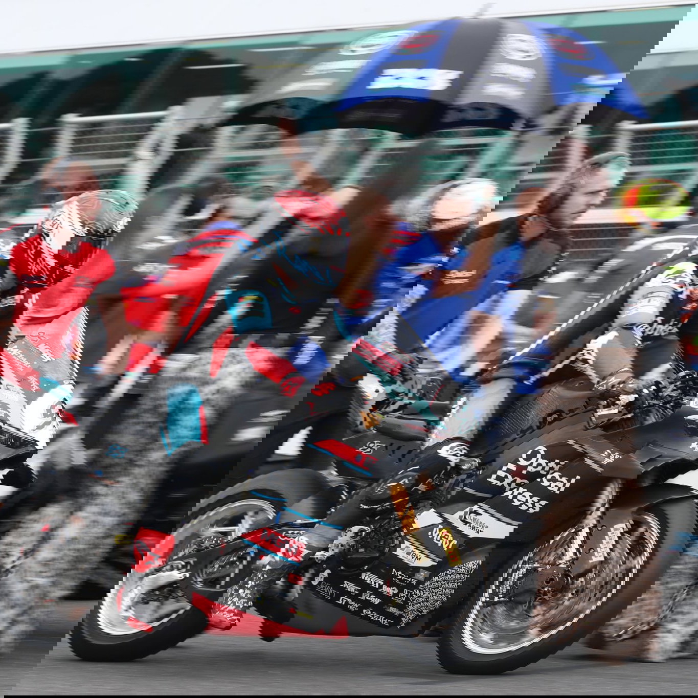 Tarran Mackenzie, 2026 Australian WorldSBK, grid. Credit: Gold and Goose.