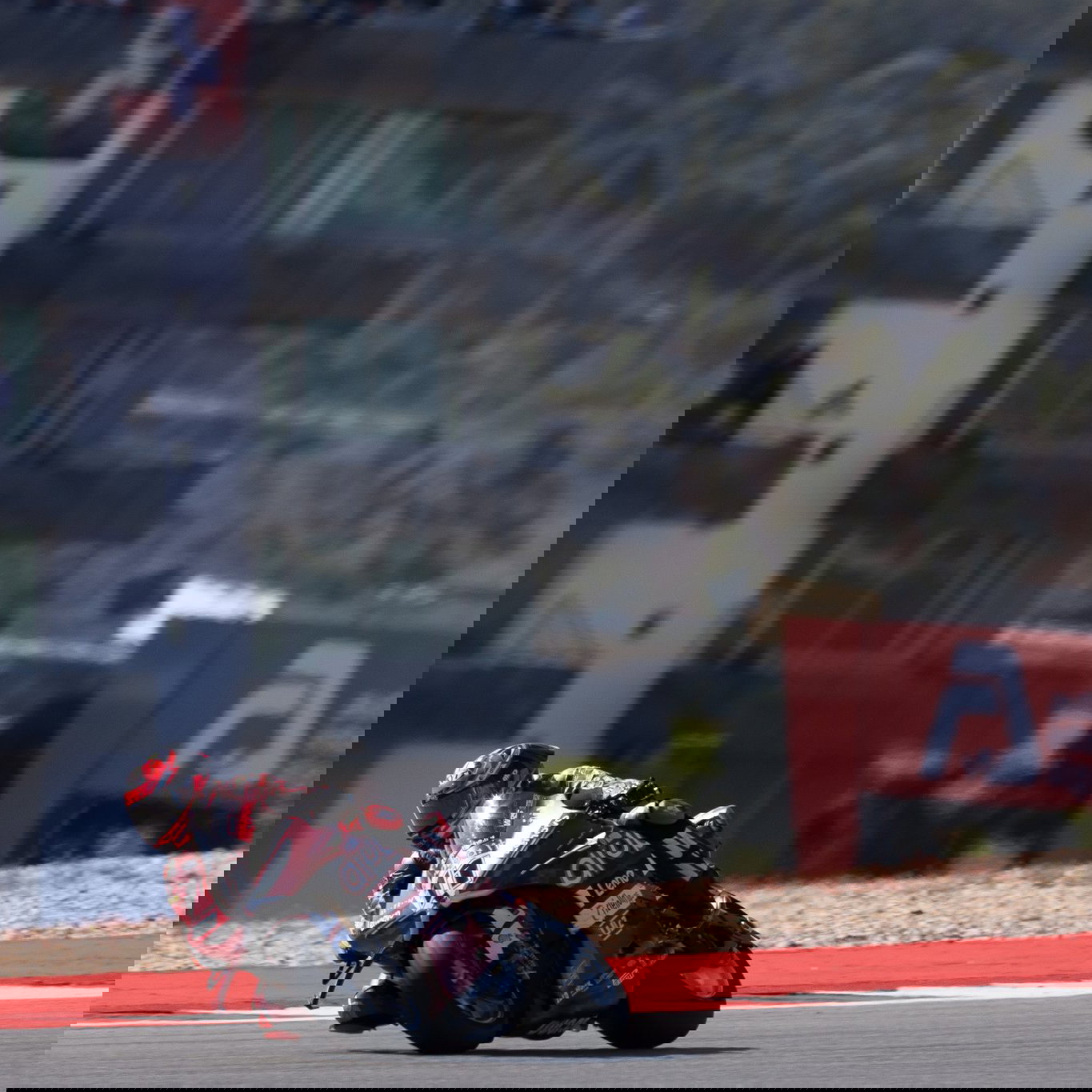 Nicolo Bulega, 2026 Portuguese WorldSBK. Credit: Gold and Goose.