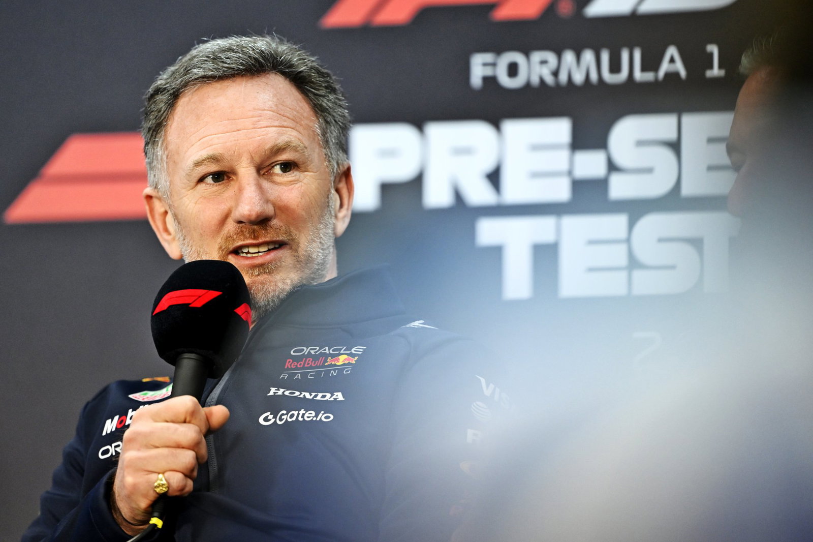Horner has been out of a job in F1 since being sacked by Red Bull in July last year