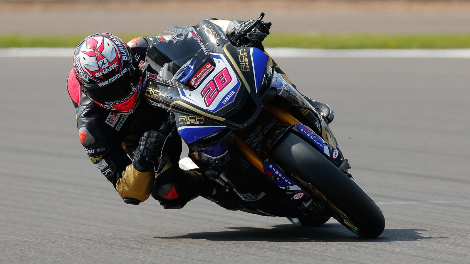 Bradley Ray, Yamaha British Superbike