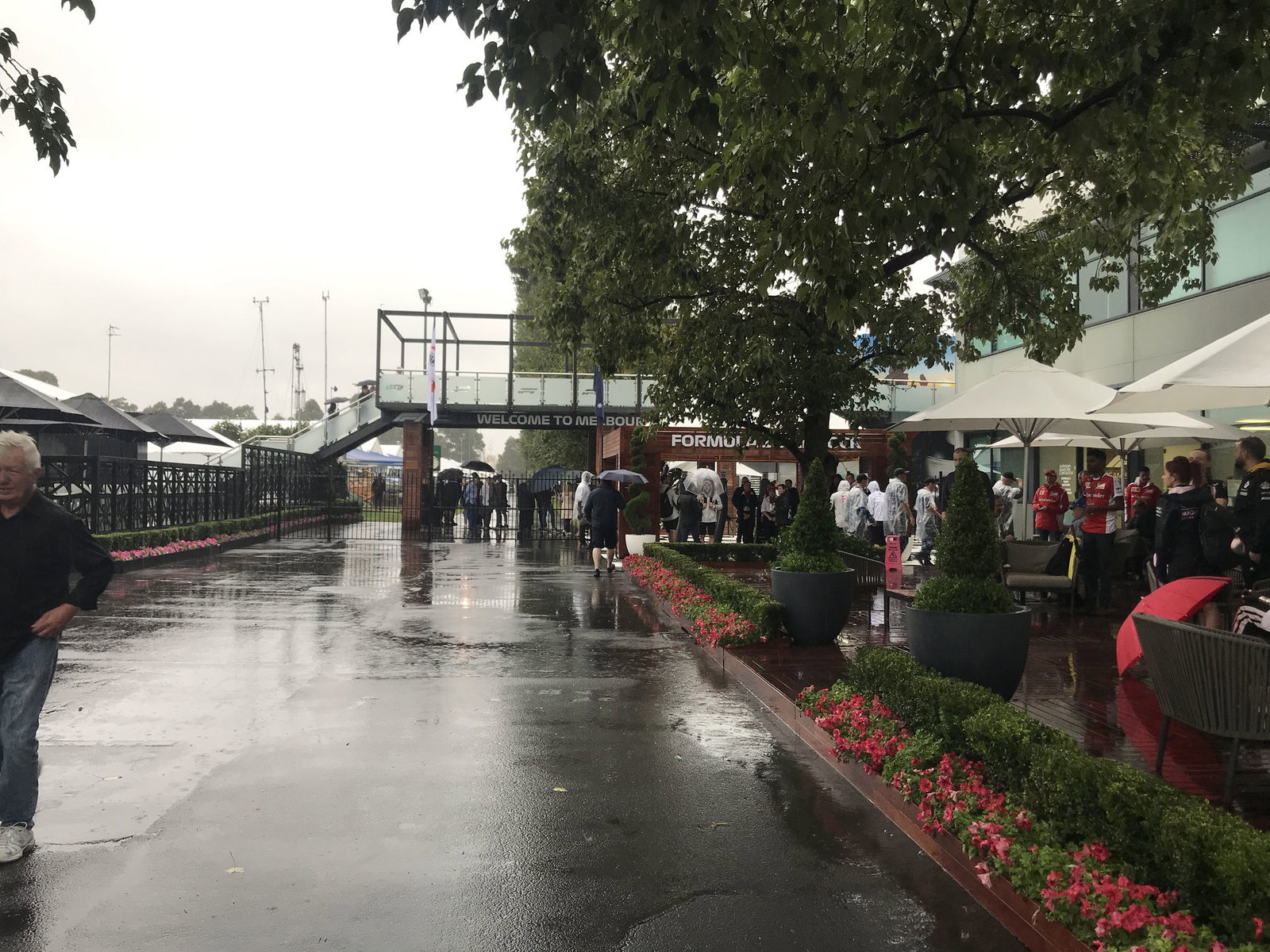 Horner: Impossible to get F1 teams to agree