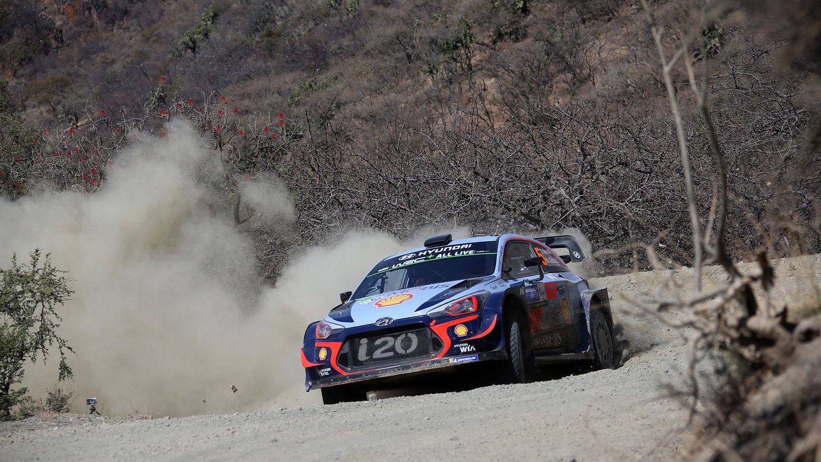 Thierry Neuville, Hyundai,