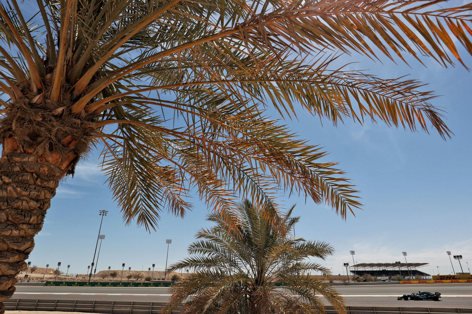 Williams F1 Pertahankan Dan Ticktum sebagai Pembalap Pengembang