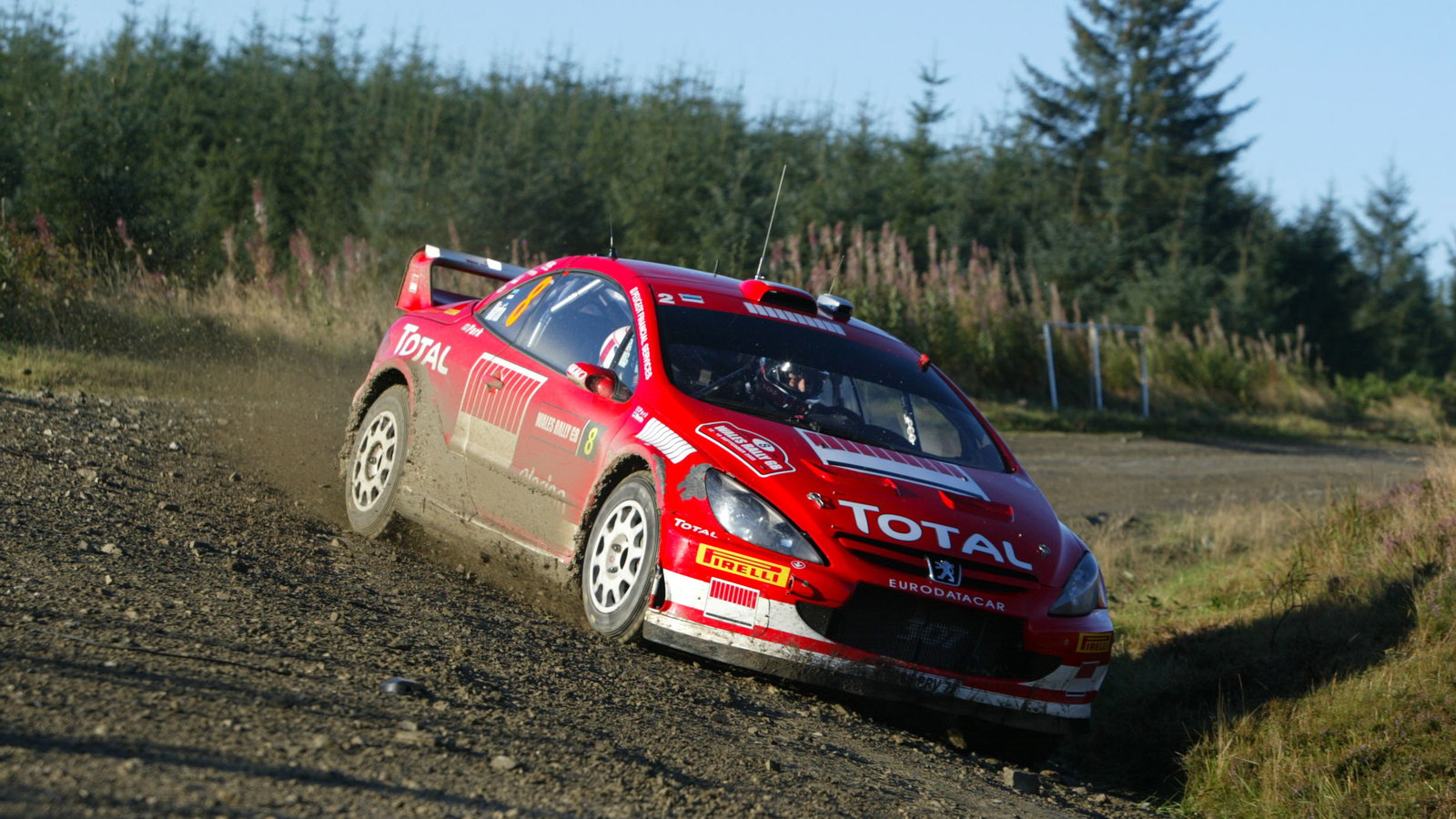 Markko Martin / Michael Park - Peugeot 307 WRC