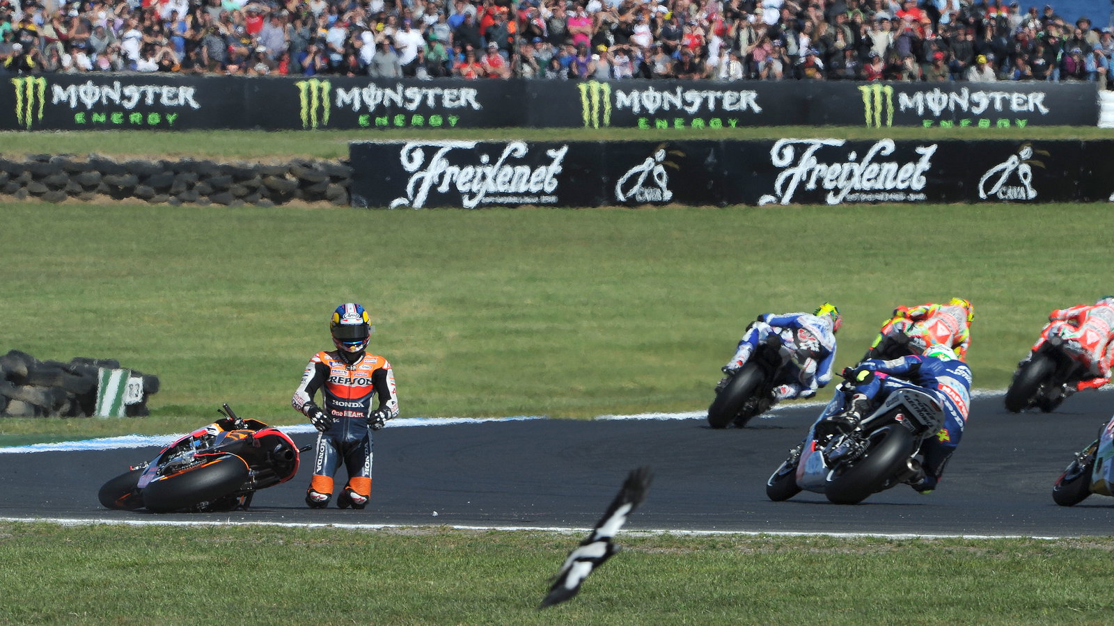 Pedrosa crash, Australian MotoGP 2012