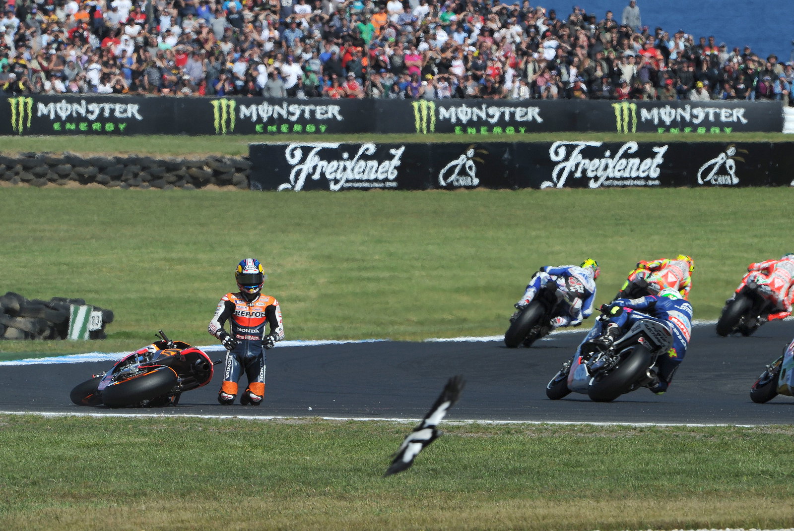 Pedrosa crash, Australian MotoGP 2012