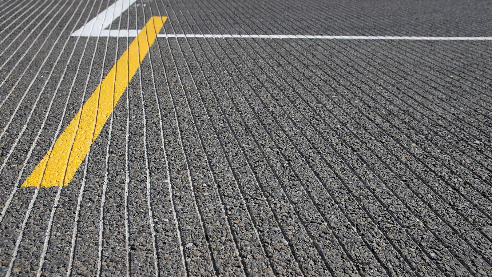 22.08.2013-Groves on the grid.