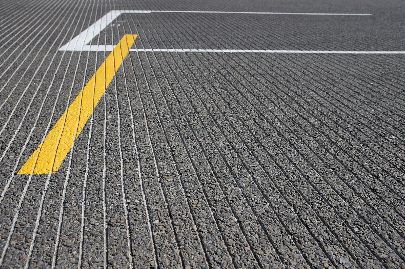 22.08.2013-Groves on the grid.