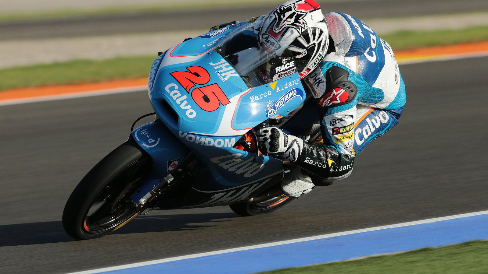 Vinales, Moto3, Valencia MotoGP 2013