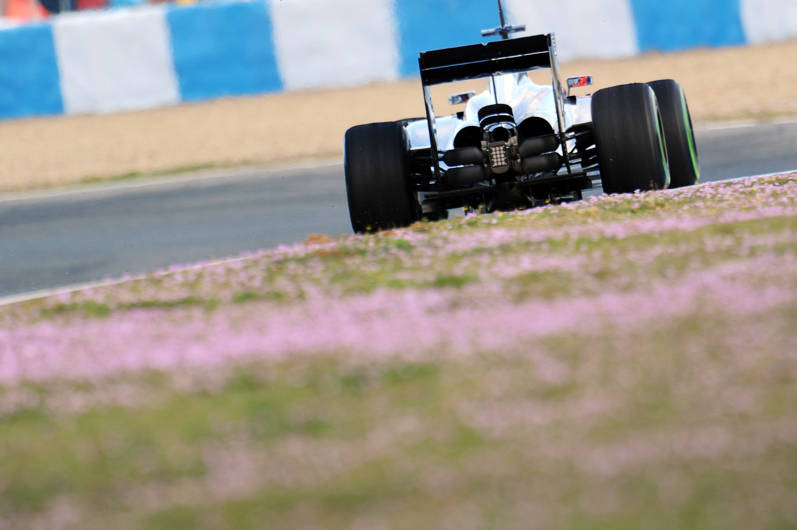 Jenson Button (GBR) McLaren MP4-29.29.01.2014. Formula One Testing, Day Two, Jerez, Spain.