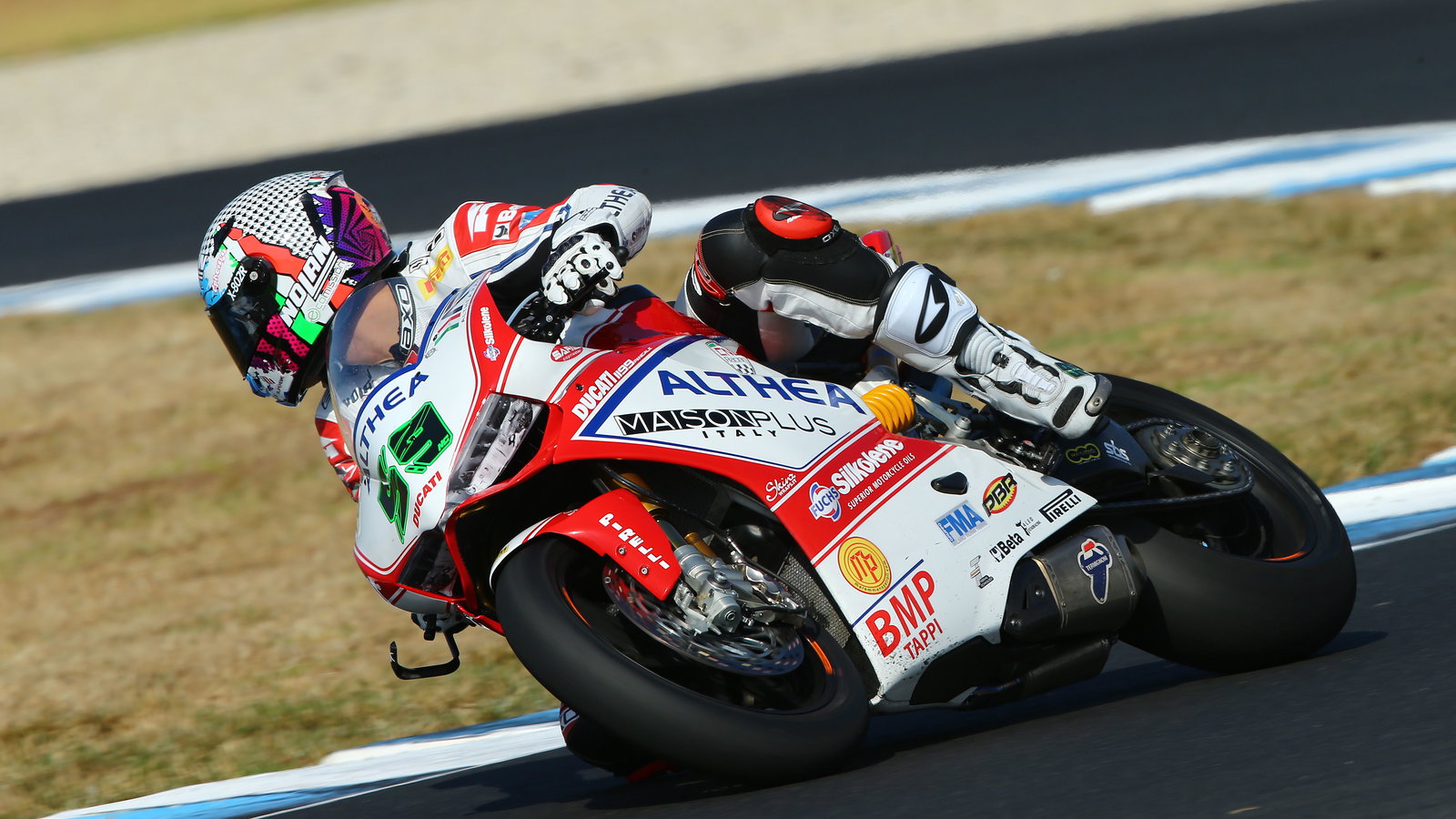 Canepa, Australian WSBK test and race, 2014