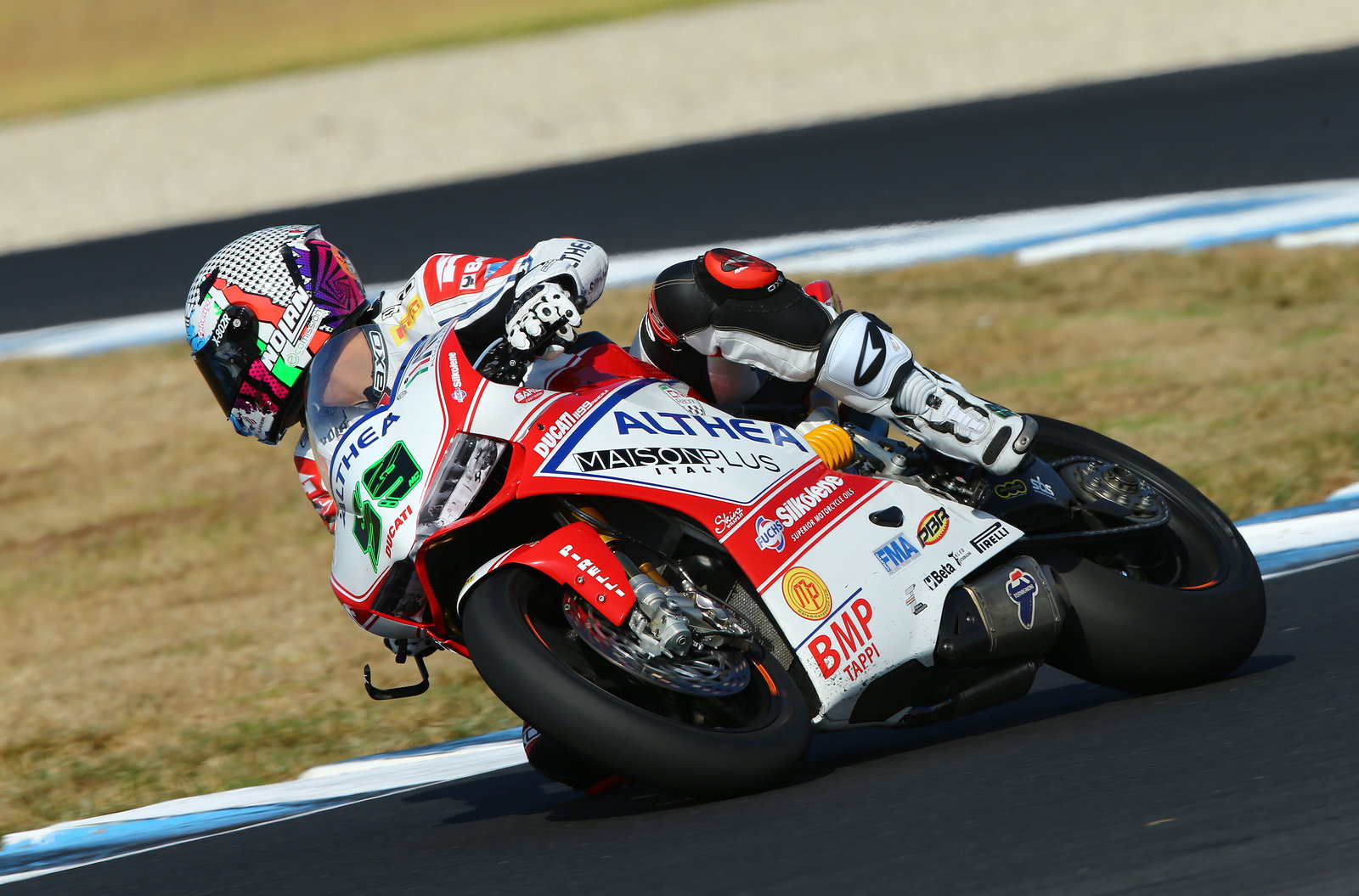 Canepa, Australian WSBK test and race, 2014