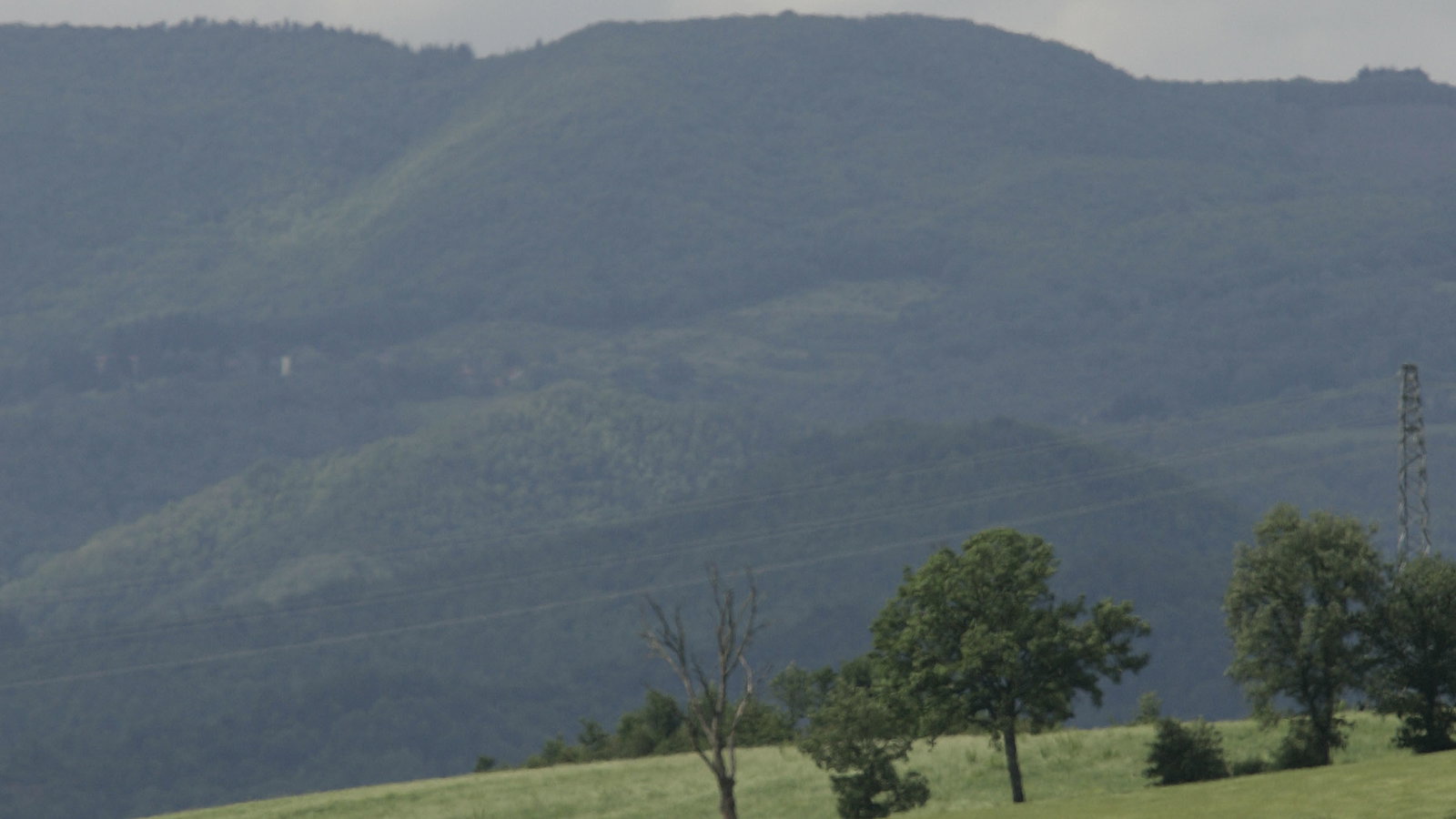 Hayden, Italian MotoGP, 2006
