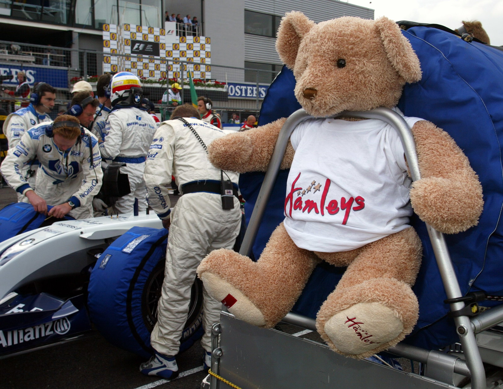 A Hamleys bear as a good luck mascot for the BMW Williams F1 team