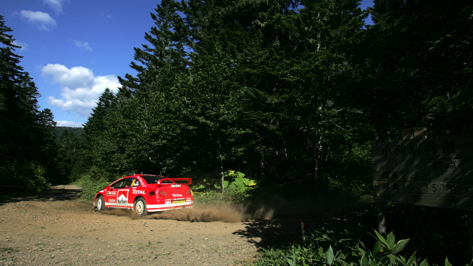 Marcus Gronholm / Timo Rautiainen - Peugeot 307 WRC