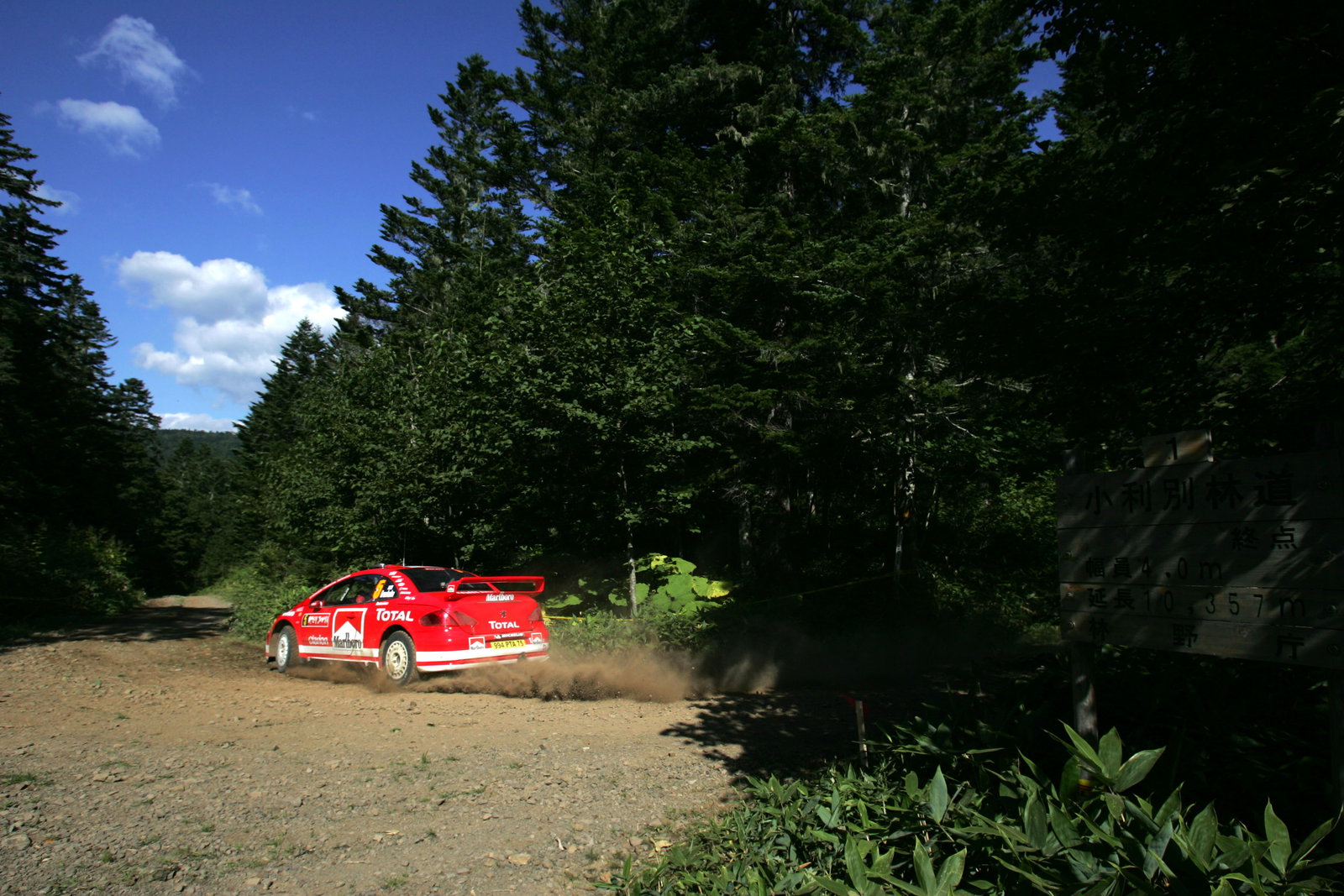 Marcus Gronholm / Timo Rautiainen - Peugeot 307 WRC