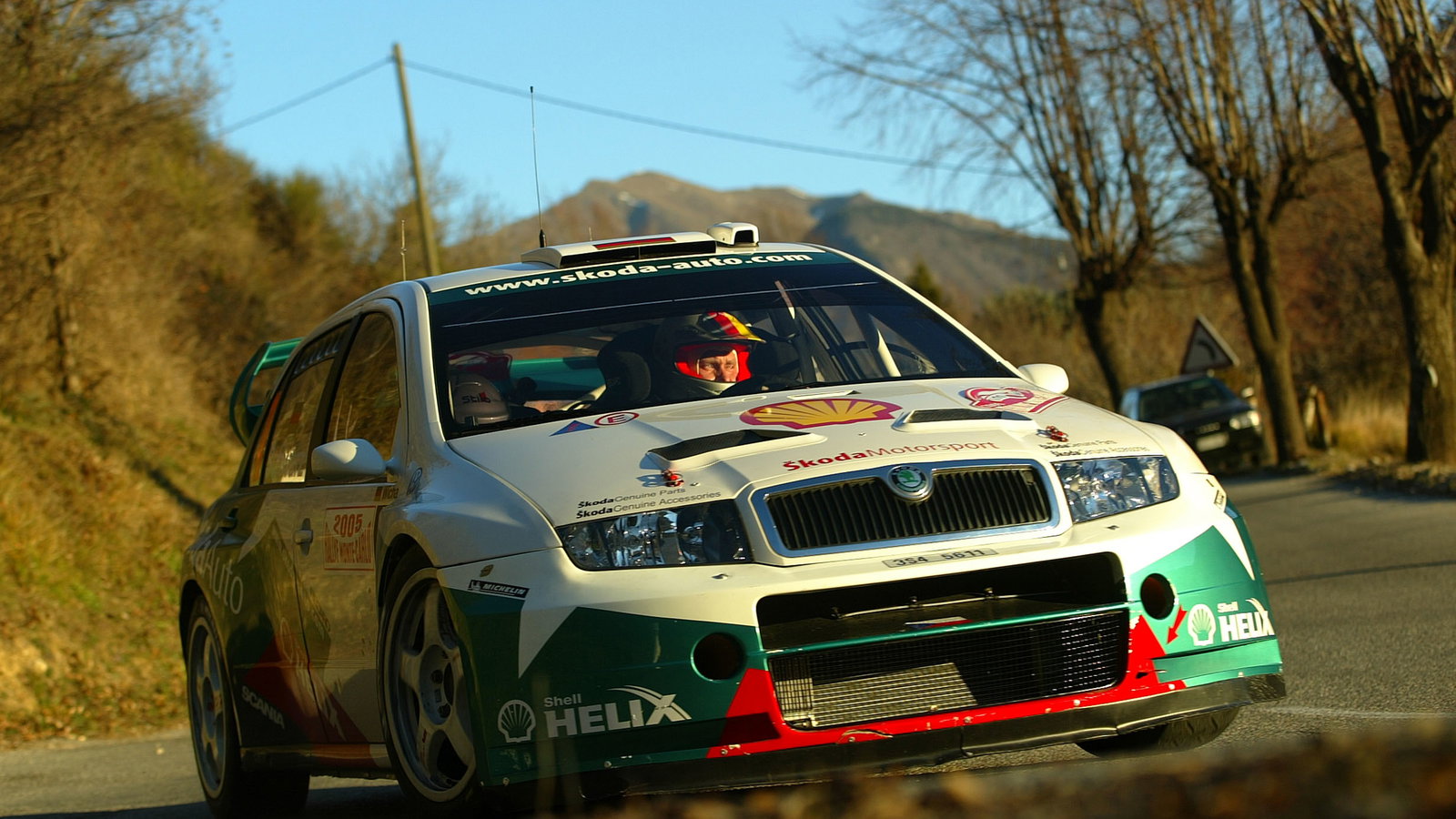 Armin Schwarz / Klaus Wicha - Skoda Fabia WRC