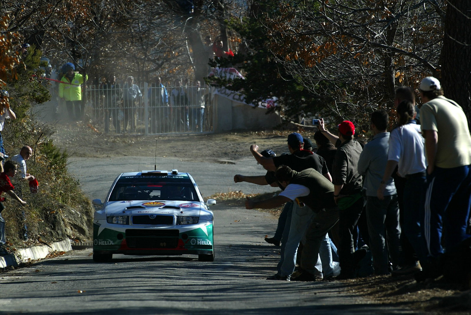 Armin Schwarz / Klaus Wicha - Skoda Fabia WRC