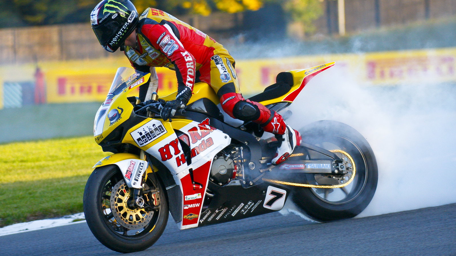 Ellison, BSB Brands Hatch. Race 2. The Final.