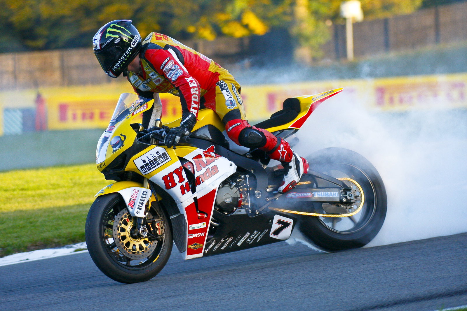 Ellison, BSB Brands Hatch. Race 2. The Final.