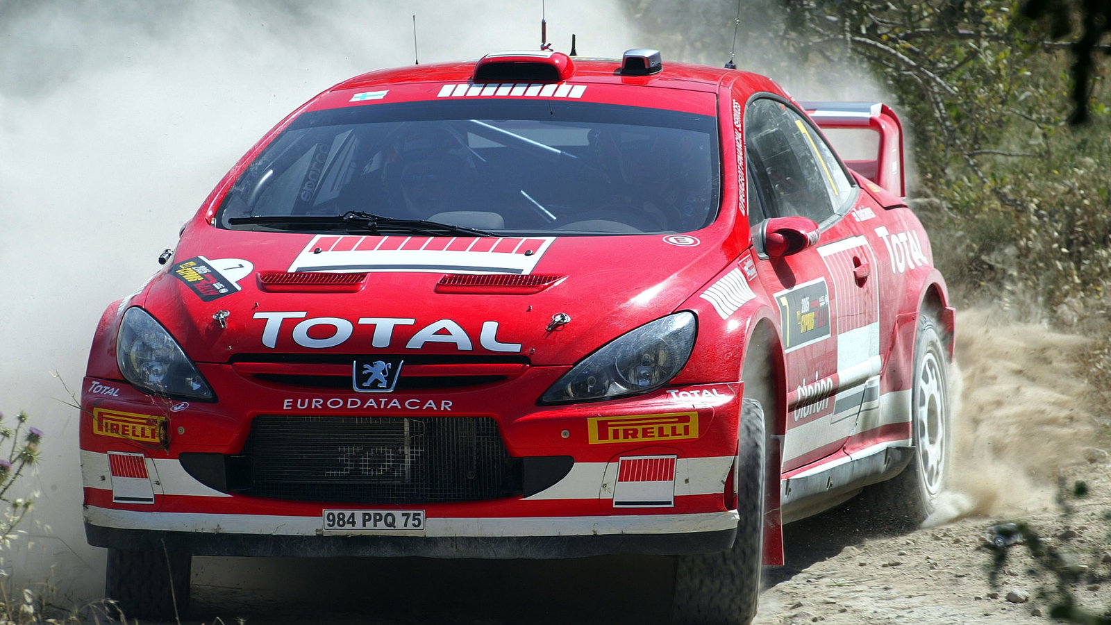 Marcus Gronholm / Timo Rautiainen - Peugeot 307 WRC