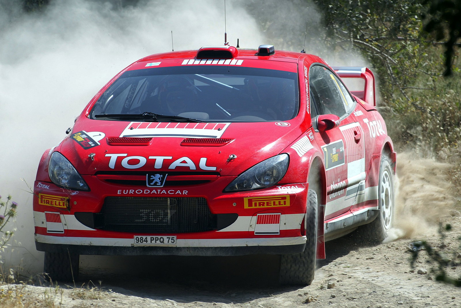 Marcus Gronholm / Timo Rautiainen - Peugeot 307 WRC