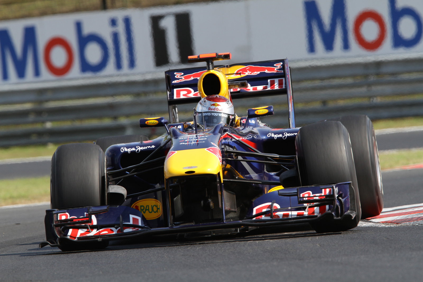 Friday, Sebastian Vettel (GER), Red Bull Racing, RB6