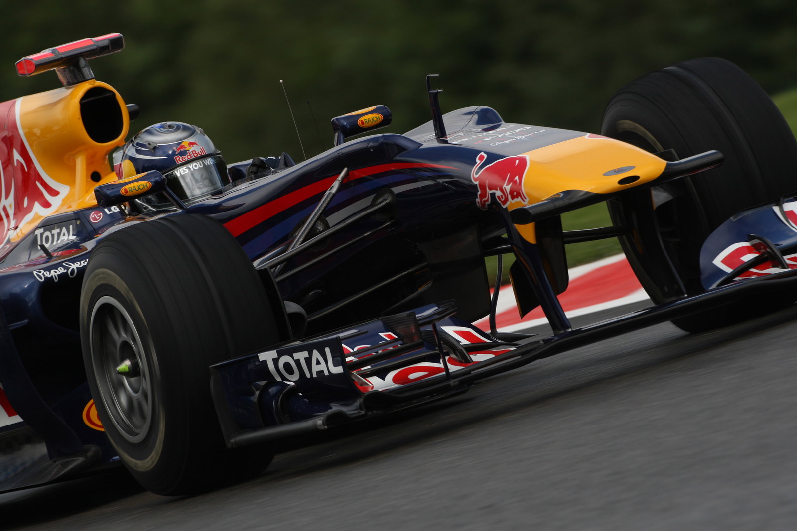 Friday Practice 2, Sebastian Vettel (GER), Red Bull Racing, RB6