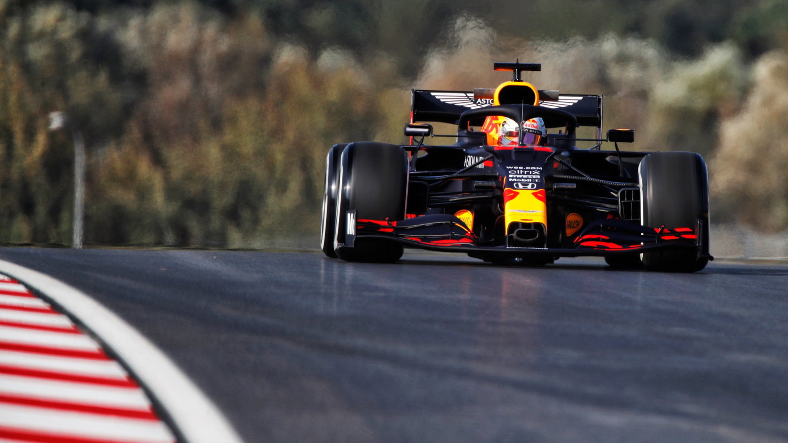 Max Verstappen (NLD) Red Bull Racing RB16.