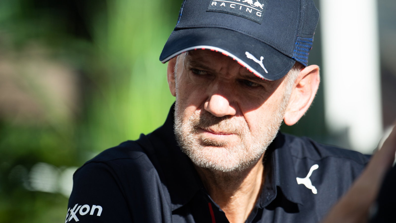 Adrian Newey (GBR) Red Bull Racing Chief Technical Officer.