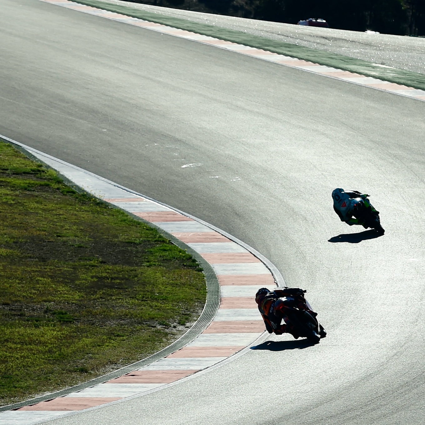 Dennis Foggia, Moto3, Algarve MotoGP, 5 November 2021