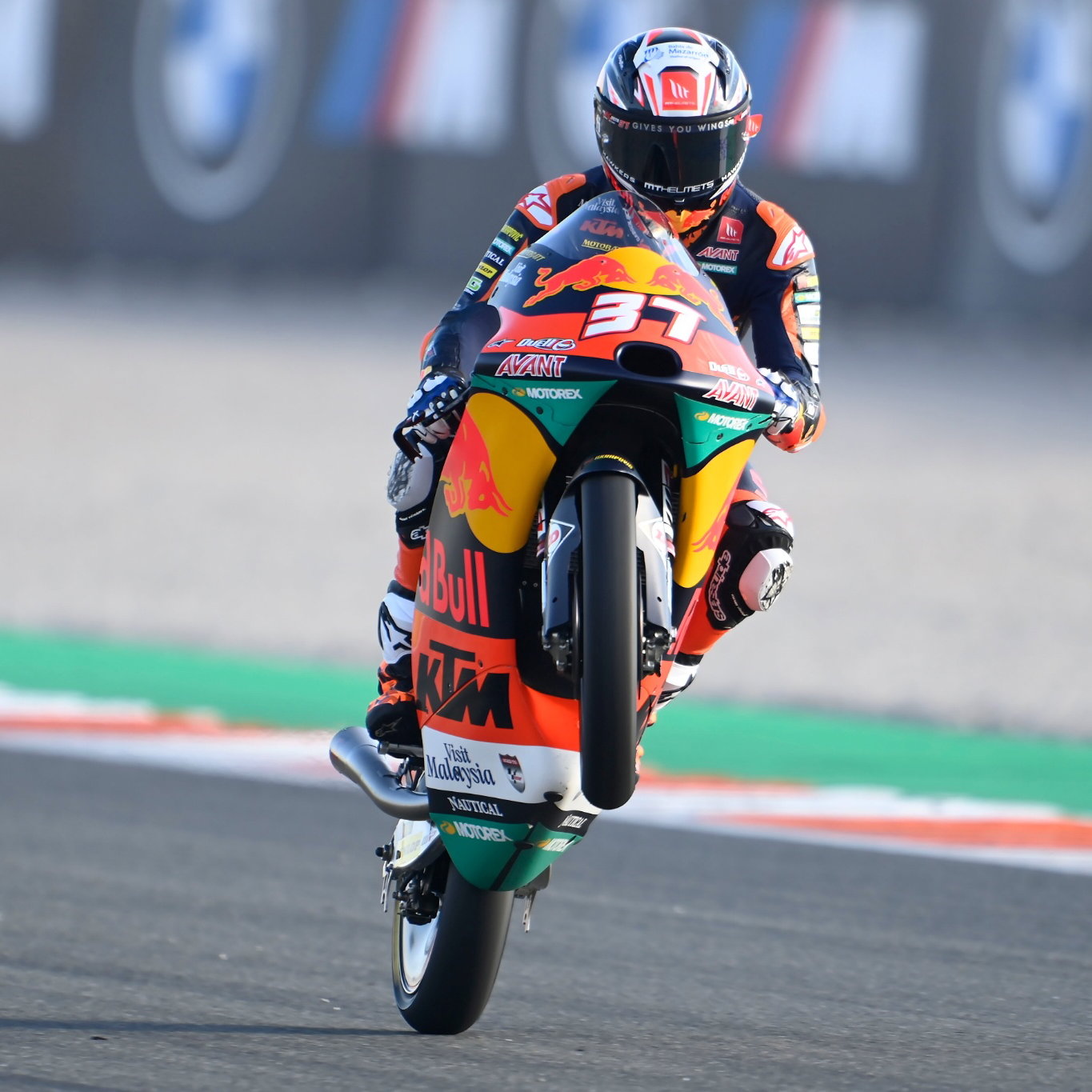 Pedro Acosta, Moto3, Valencia MotoGP 2021 13 November 2021