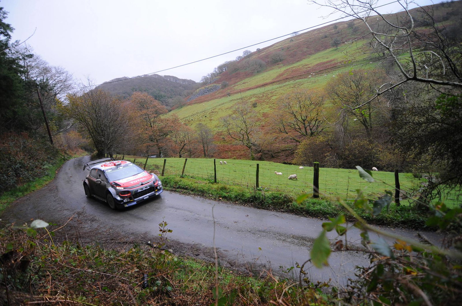 Solberg, Gronholm menguji penantang Volkswagen WRC 2 baru