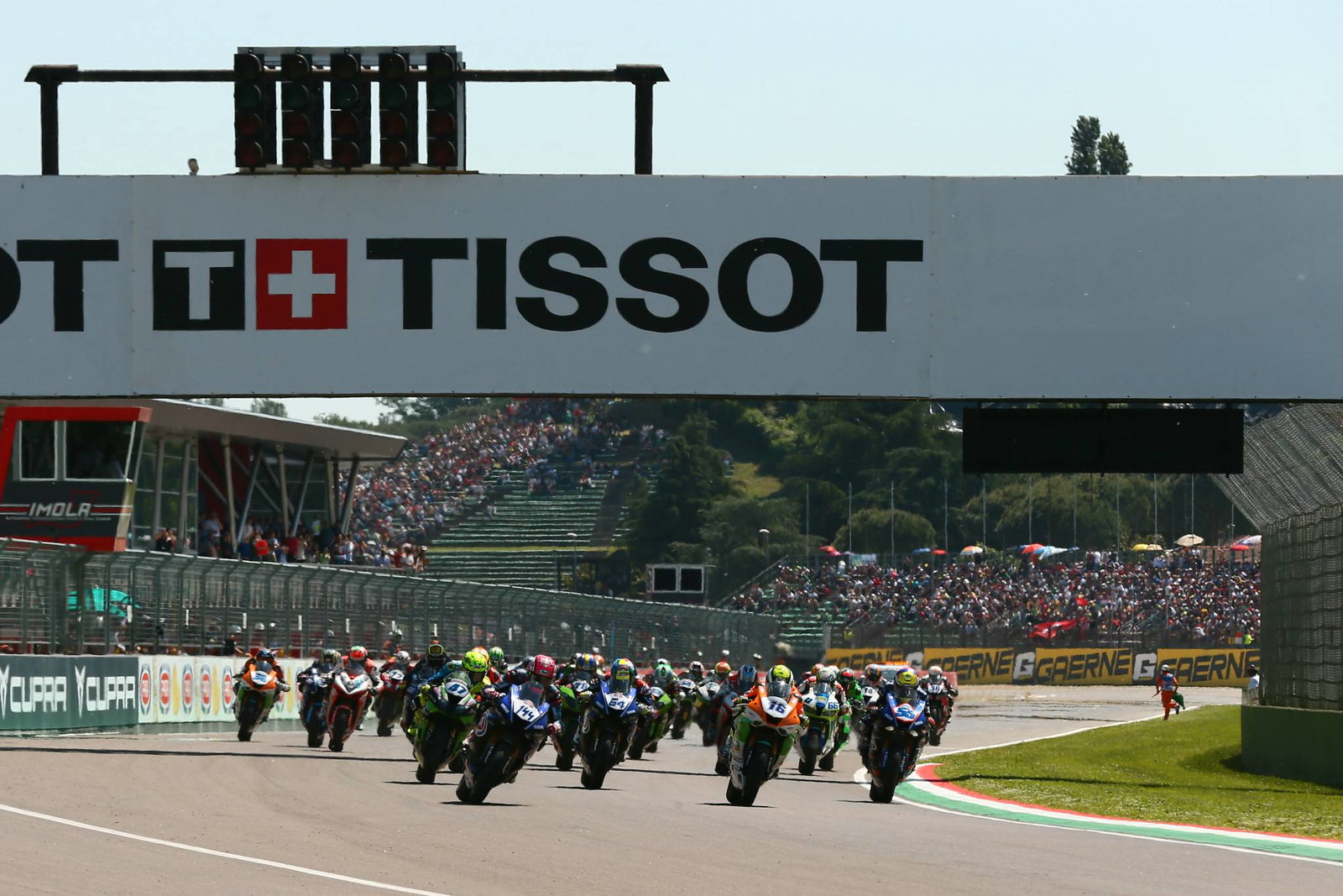 Ana Carrasco - Q&A Interview