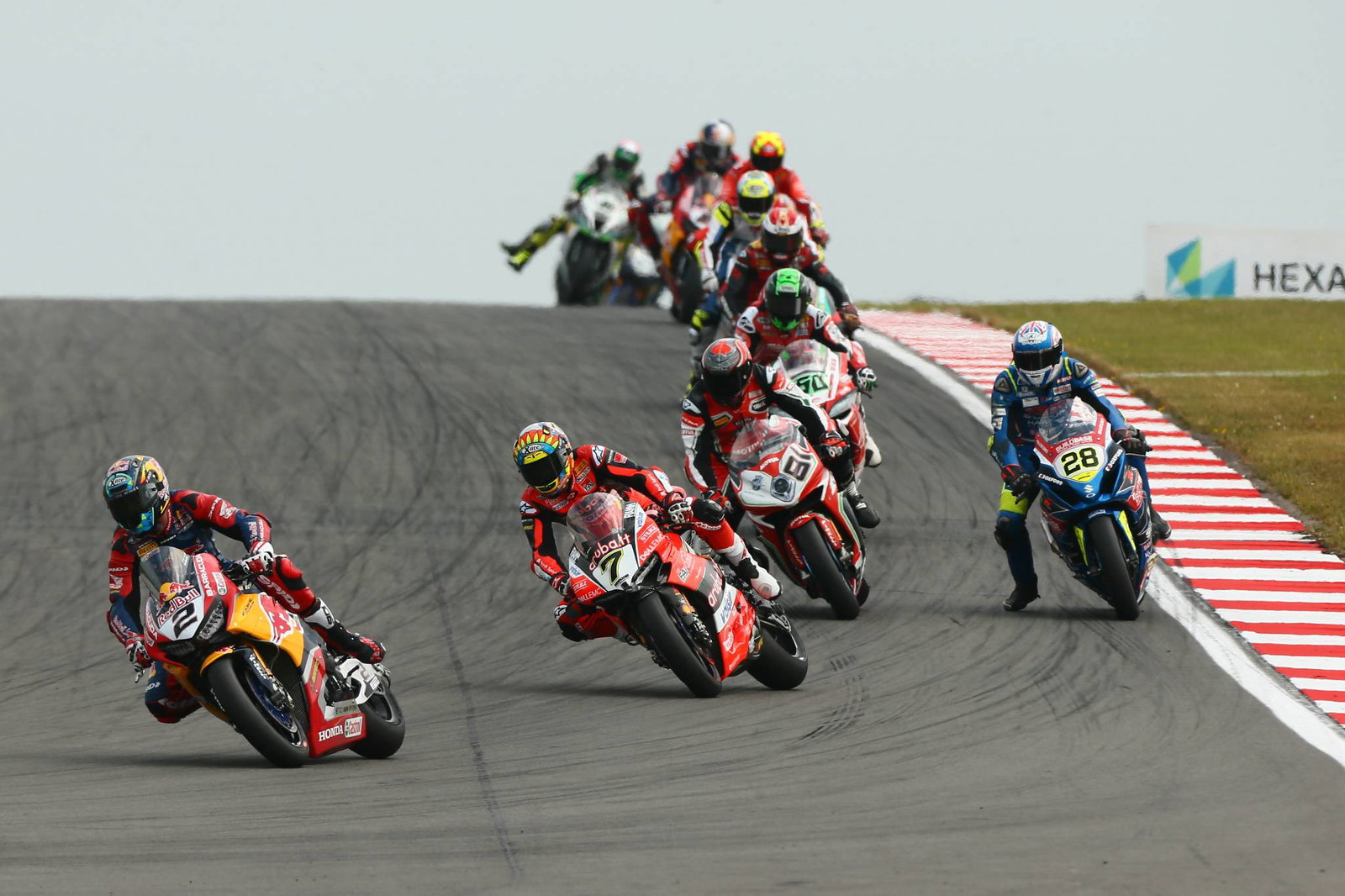 EXCLUSIVE: Leon Camier – Q&A Interview